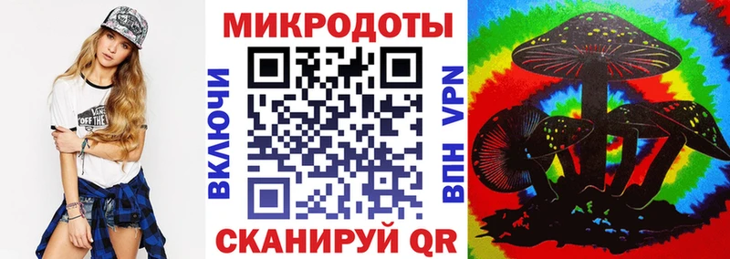 Псилоцибиновые грибы Psilocybe  Купить закладки  Каргат 